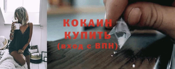 бошки Горняк