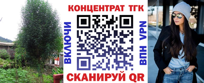 ТГК вейп  сколько стоит  mega как зайти  Мезень 