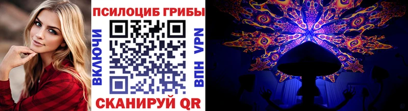 Галлюциногенные грибы Magic Shrooms  ОМГ ОМГ ТОР  Мезень  купить наркотики цена 